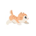 Cute ginger kitten sneaks or hunts. Cartoon domestic animals illustration.