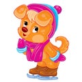 Cute ginger puppy character in a hat and scarf is skating, cartoon illustration, postcard, isolated object on a white background