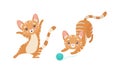 Cute Ginger Striped Kitten as Furry Domestic Pet Playing with Yarn Ball Vector Set