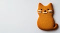 Cute Gingerbread Cookie Shaped Like A Sitting Cat With Icing Details on White Background Royalty Free Stock Photo