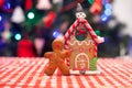 Cute gingerbread man in front of his candy ginger Royalty Free Stock Photo