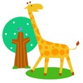 Cute giraff