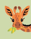 Cute giraffe animals Africa smile wild smile eating