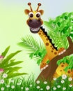 Cute giraffe cartoon smiling Royalty Free Stock Photo