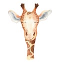 Cute giraffe cartoon watercolor illustration animal