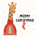 Cute giraffe Christmas card Royalty Free Stock Photo