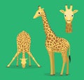 Cute Giraffe Drink Water Cartoon Vector Illustration