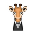 Cute Giraffe Face with Tuxedo and Bowtie Cartoon Style White Background. Vector