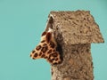 A cute giraffe finger puppet peeks out from a small cage Royalty Free Stock Photo