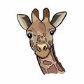 Cute giraffe illustration