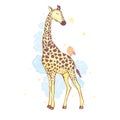 cute giraffe isolated icon vector illustration design