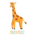 Cute giraffe with lettering ADVENTURE on a white background. Vector childish illustration Royalty Free Stock Photo