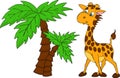 Cute Giraffe and palm tree. Vector illustration