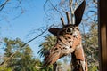 Cute Giraffe statue in the zoo