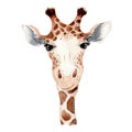 Cute giraffe cartoon watercolor illustration animal