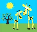 Cute giraffes