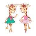 Cute giraffes - in blue dress, ballerina dances in a tutu and on pointes Royalty Free Stock Photo