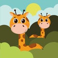 cute giraffes in the forest