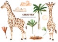 Watercolor clipart with cute giraffes, palm leaves, clouds, savanna grass, palm tree Royalty Free Stock Photo