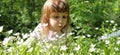 Cute girl with blond hair in the meadow. Wildflowers are white. Stellaria is a genus of flowering plants in the clove family. The