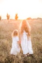 Cute girl with blond long hair with a younger sister in a summer field at sunset