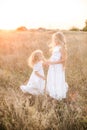 Cute girl with blond long hair with a younger sister in a summer field at sunset