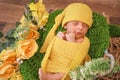 Cute girl covered with yellow blanket and head scarf lying on green knit textile yellow flowers Royalty Free Stock Photo