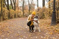 Cute girl and dog walking in the autumn park Royalty Free Stock Photo