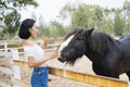 Cute girl feeding a black horse with carrot Royalty Free Stock Photo