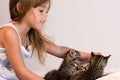 Cute girl helping 3 tabby kittens on soft off-white comforter Royalty Free Stock Photo