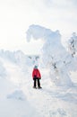 Cute girl hiking in snowshoes Royalty Free Stock Photo