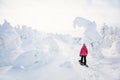 Cute girl hiking in snowshoes Royalty Free Stock Photo