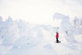 Cute girl hiking in snowshoes Royalty Free Stock Photo