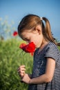 Cute girl holding a bouquet of red poppies Royalty Free Stock Photo