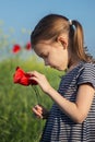 Cute girl holding a bouquet of red poppies Royalty Free Stock Photo