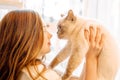 Cute girl holding a cat in her arms. care and responsibility for children, care for animals Royalty Free Stock Photo