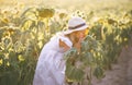 Cute girl in light dress and a big straw hat smells sunflower in the field on the sunset Royalty Free Stock Photo