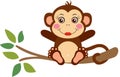 Cute girl monkey sitting on tree branch