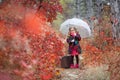 Cute girl with an old suitcase and an umbrella in her hand on a footpath in the autumn forest Royalty Free Stock Photo