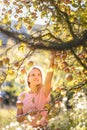 Cute girl picking apples in an orchard Royalty Free Stock Photo