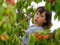 Cute girl picking cherries from a tree on a summer day Royalty Free Stock Photo