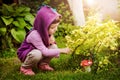 Cute girl picking mushrooms in a summer forest looking at non-edible poisonous mushrooms Royalty Free Stock Photo