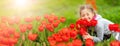 Cute girl picking red tulips in bouquet in the garden. Royalty Free Stock Photo