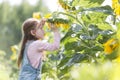 Cute girl playing with sunflower growing at farm Royalty Free Stock Photo