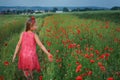 Cute girl in red dress walks at poppy field Royalty Free Stock Photo