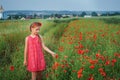 Cute girl in red dress walks at poppy field Royalty Free Stock Photo