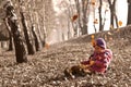 Cute girl sitting on fallen autumn leaves while leafs falling and playing with dolls Royalty Free Stock Photo