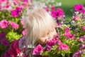 Cute girl smells flowers Royalty Free Stock Photo