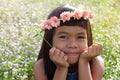 Asian girl flower foeld. Royalty Free Stock Photo