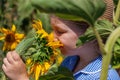 Adorable little girl in straw hat, blue plaid summer dress in a field countryside. Child with long hair smells sunflower Royalty Free Stock Photo